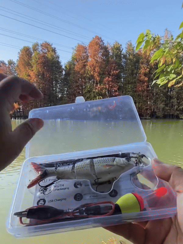 Day and night fishing