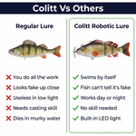 Robotic Fishing Lure