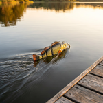 Robotic Fishing Lure