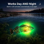 Robotic Fishing Lure